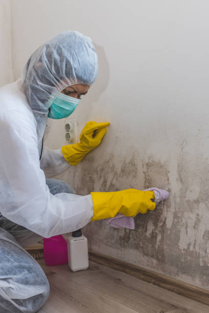 Best Mold-Related Health Consultation  in Whitemarsh Island, GA
