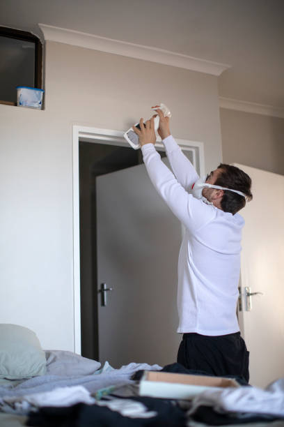 Best Water Damage & Mold Remediation  in Whitemarsh Island, GA