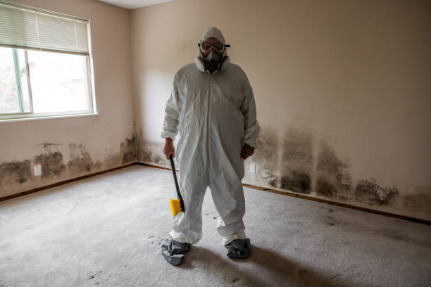 Best Industrial Mold Remediation  in Whitemarsh Island, GA