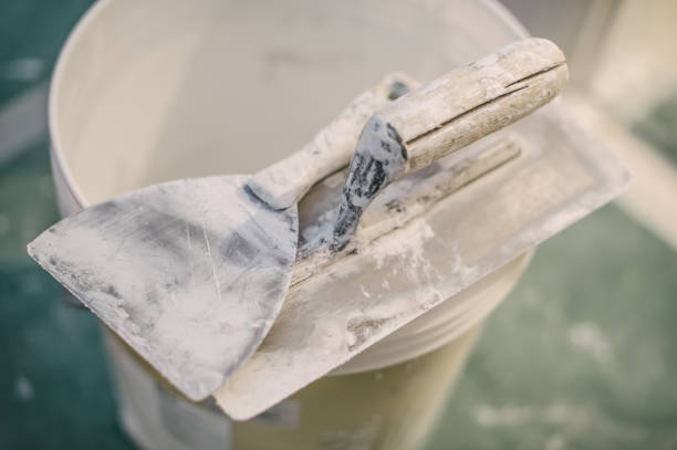 Best Black Mold Removal  in Whitemarsh Island, GA