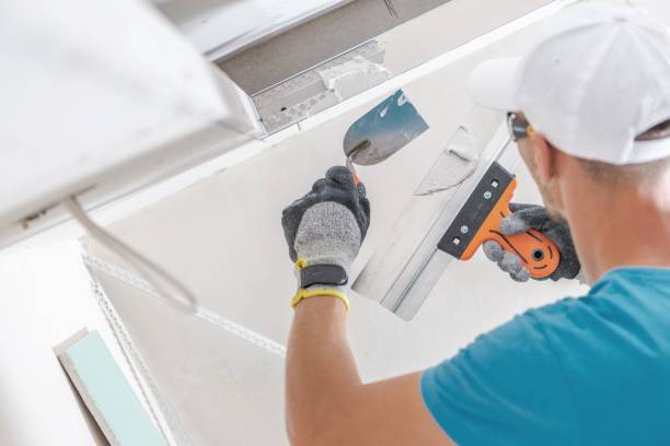 Best Mold Odor Removal Services  in Whitemarsh Island, GA